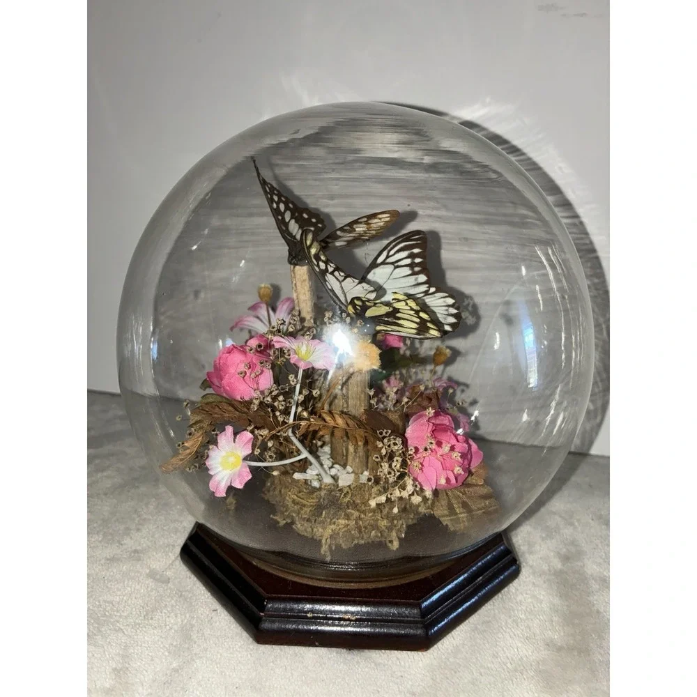 Vintage Butterfly Taxidermy Dried And Faux Pink Flowers In Glass Dome‎ Decor